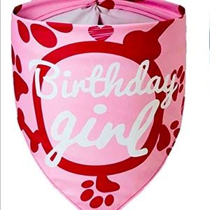 Birthday Girl Dog PINK Bandana NWOT LARGE